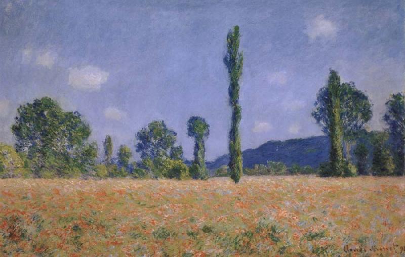 Claude Monet Poppy Field oil painting picture